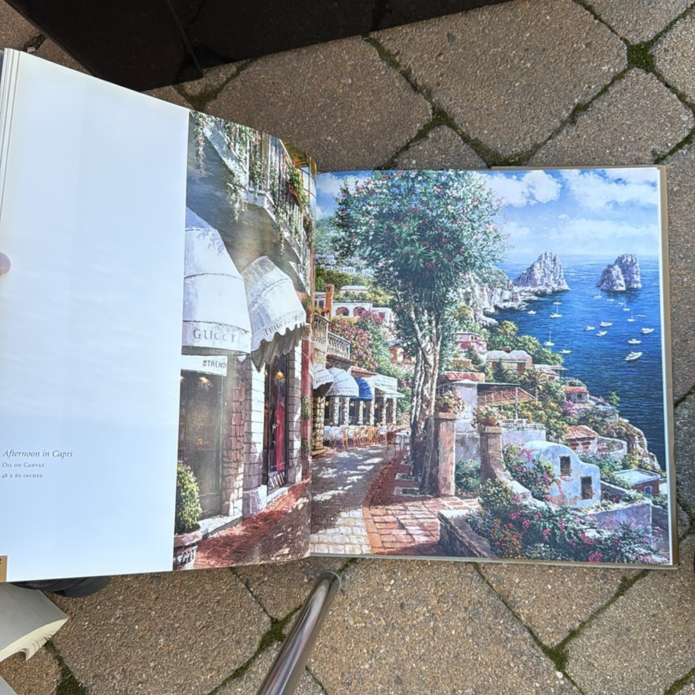 S. Sam Park New Impressionism Art Book - Picture 2 of 3